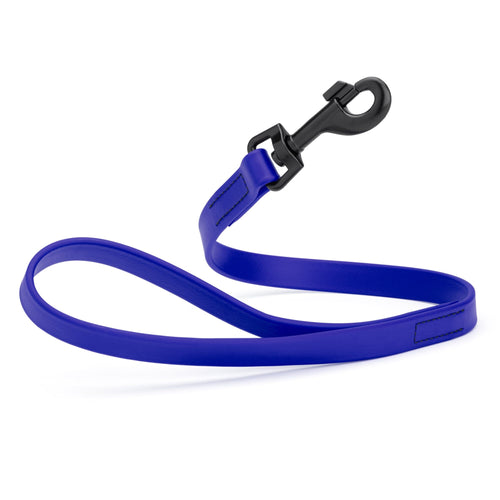 Biothane Waterproof Traffic Lead for Dogs, 2 ft