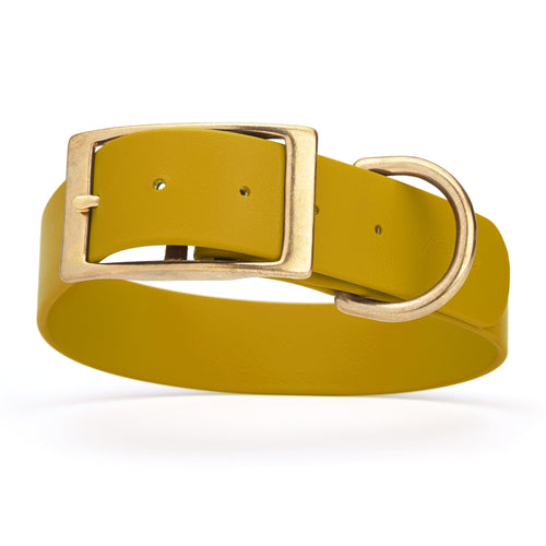 Viper Biothane Waterproof Dog Collar - Brass Hardware - 1.5in Wide, Size XL (20 to 24 inches)
