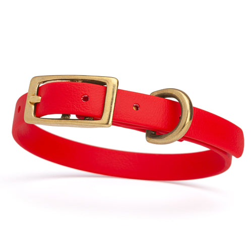 BioThane Waterproof Dog Collar - XS: L 9-12 x W 1/2 - Black OR Brass Hardware