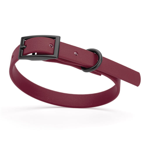 BioThane Waterproof Dog Collar - XS: L 9-12 x W 1/2 - Black OR Brass Hardware
