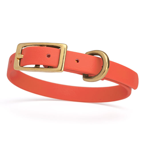 BioThane Waterproof Dog Collar - XS: L 9-12 x W 1/2 - Black OR Brass Hardware