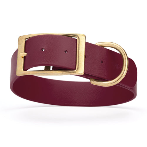 Viper Biothane Waterproof Dog Collar - Brass Hardware - 1.5in Wide, Size XL (20 to 24 inches)