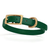 Viper Biothane Waterproof Dog Collar - Brass Hardware - Size XS (9 to 12 inches)
