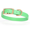 Viper Biothane Waterproof Dog Collar - Brass Hardware - Size M (15 to 18 inches)