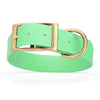 Viper Biothane Waterproof Dog Collar - Brass Hardware - 1.5in Wide, Size XXL (24 to 28 inches)