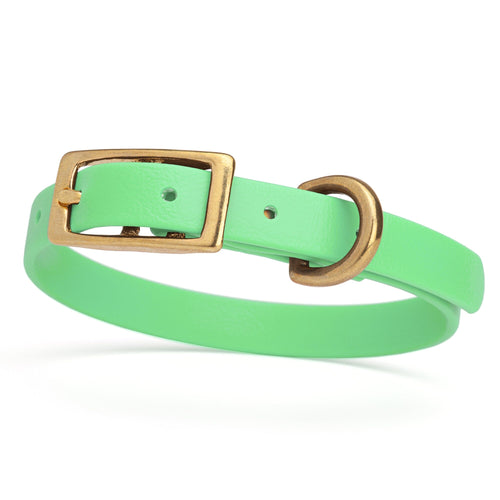 BioThane Waterproof Dog Collar - XS: L 9-12 x W 1/2 - Black OR Brass Hardware
