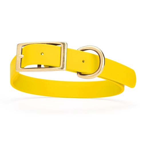 Viper Biothane Waterproof Dog Collar - Brass Hardware - Size L (18 to 22 inches)