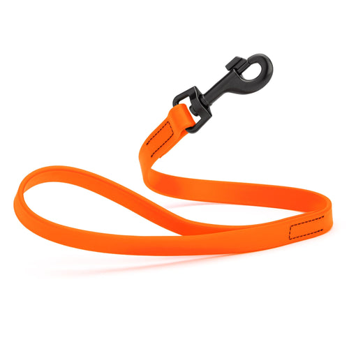 Biothane Waterproof Traffic Lead for Dogs, 2 ft
