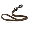 Biothane Waterproof Traffic Lead for Dogs, 2 ft
