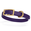 BioThane Waterproof Dog Collar - XS: L 9-12 x W 1/2 - Black OR Brass Hardware
