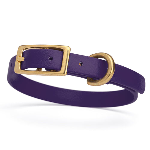 BioThane Waterproof Dog Collar - XS: L 9-12 x W 1/2 - Black OR Brass Hardware