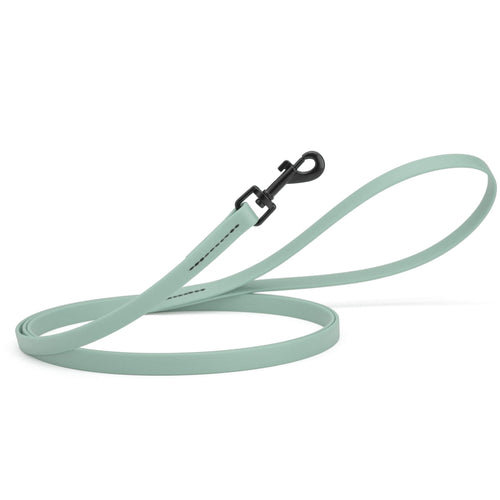 Biothane Waterproof Dog Leash, 4 ft