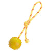 FDT Rubber Dog Ball on Rope, Medium - Diameter 2.3 (6 cm)
