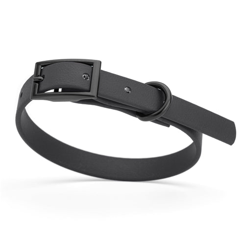 BioThane Waterproof Dog Collar - XS: L 9-12 x W 1/2 - Black OR Brass Hardware