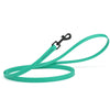 Biothane Waterproof Dog Leash, 4 ft