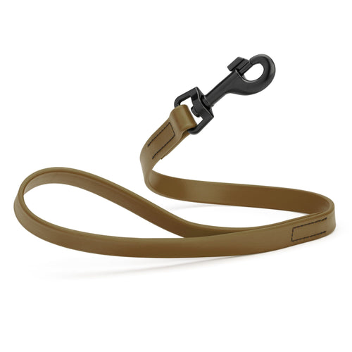 Biothane Waterproof Traffic Lead for Dogs, 2 ft