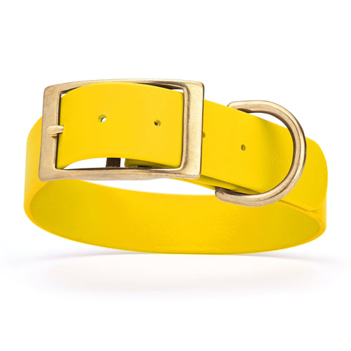 Viper Biothane Waterproof Dog Collar - Brass Hardware - 1.5in Wide, Size L (16 to 20 inches)