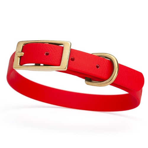 Viper Biothane Waterproof Dog Collar - Brass Hardware - Size S (12 to 15 inches)
