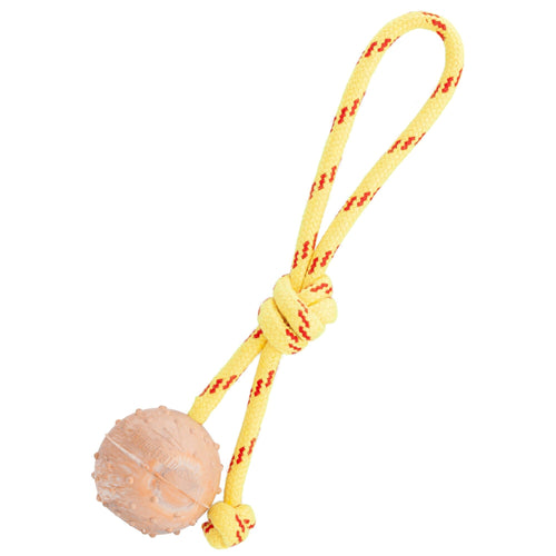 FDT Rubber Dog Ball on Rope, Small - Diameter 2 (5 cm)