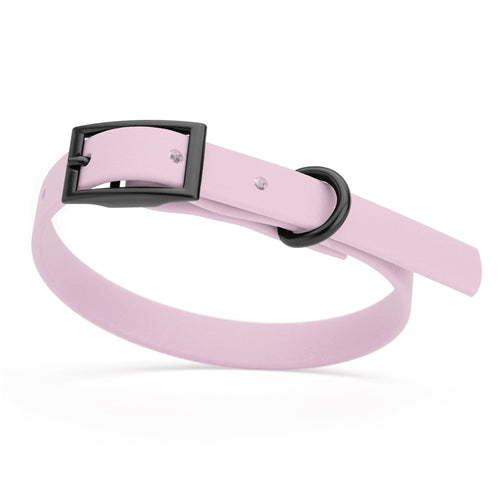 BioThane Waterproof Dog Collar - XS: L 12-15 x W 5/8 - Black OR Brass Hardware