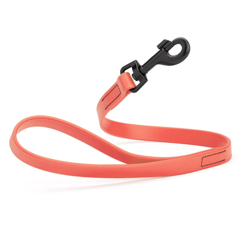 Biothane Waterproof Traffic Lead for Dogs, 2 ft