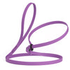 Biothane Slip Lead for Dogs, 5FT and 7FT