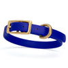 Viper Biothane Waterproof Dog Collar - Brass Hardware - Size XS (9 to 12 inches)