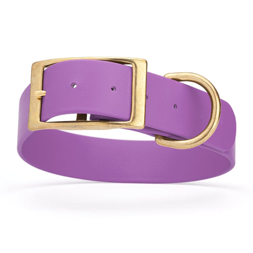 Viper Biothane Waterproof Dog Collar - Brass Hardware - 1.5in Wide, Size XXL (24 to 28 inches)