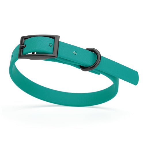 BioThane Waterproof Dog Collar - XS: L 9-12 x W 1/2 - Black OR Brass Hardware