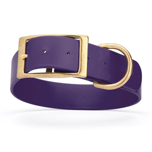 Viper Biothane Waterproof Dog Collar - Brass Hardware - 1.5in Wide, Size L (16 to 20 inches)
