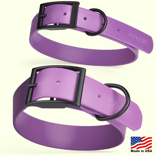 BioThane Waterproof Dog Collar - XS: L 9-12 x W 1/2 - Black OR Brass Hardware
