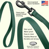 Biothane Waterproof Dog Leash, 4 ft
