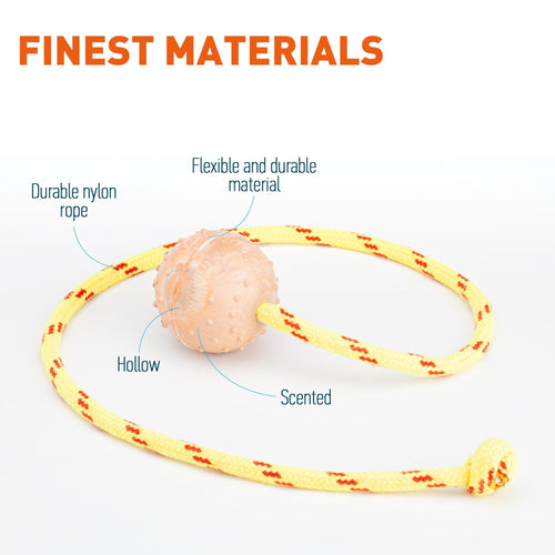 FDT Rubber Dog Ball on Rope, Small - Diameter 2 (5 cm)