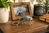 Jimothy Inspired Raccoon Kit n Kat Pal Keychain
