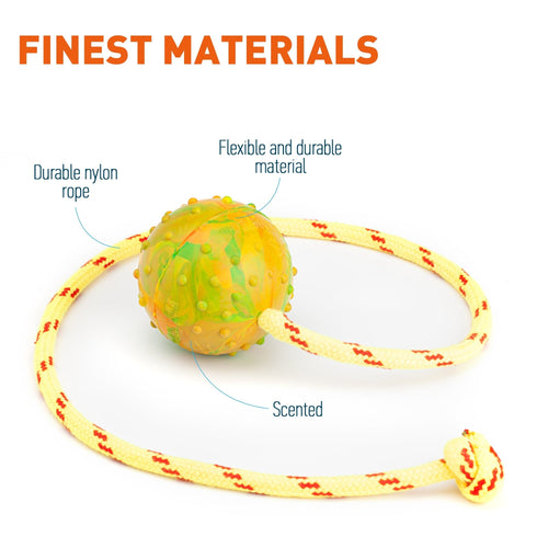 FDT Rubber Dog Ball on Rope, Medium - Diameter 2.3 (6 cm)