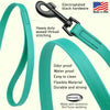 Biothane Waterproof Traffic Lead for Dogs, 2 ft