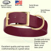 Viper Biothane Waterproof Dog Collar - Brass Hardware - 1.5in Wide, Size XL (20 to 24 inches)