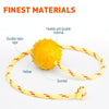 FDT Rubber Dog Ball on Rope, Medium - Diameter 2.3 (6 cm)