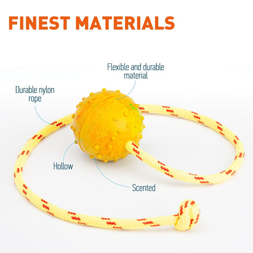 FDT Rubber Dog Ball on Rope, Medium - Diameter 2.3 (6 cm)