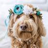 Pet Floral Crown Headpiece Bride Wedding