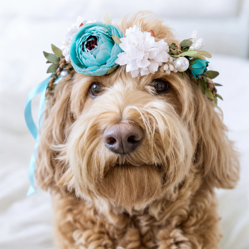 Pet Floral Crown Headpiece Bride Wedding