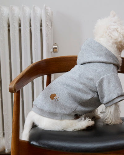 Cookie Hoodie