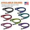 Rubber Infused Nylon Dog Leash