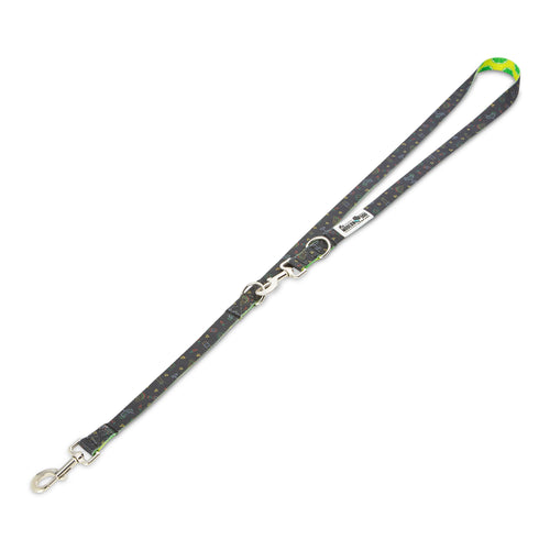 The Modern Dog Company - Retro Taco Tuesday Leash
