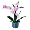Orchid Green Plant Bonsai Remote Control LED Light