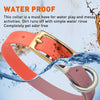 Viper Biothane Waterproof Dog Collar - Brass Hardware - Size XS (9 to 12 inches)