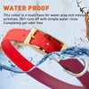 Viper Biothane Waterproof Dog Collar - Brass Hardware - Size M (15 to 18 inches)