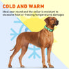Dogline Biothane Waterproof Dog Collar with Black Hardware -  1.5 Wide, Size XL (20 to 24 inches)