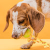 FDT Rubber Dog Ball on Rope, Small - Diameter 2 (5 cm)