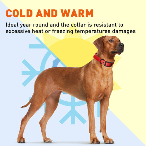 BioThane Waterproof Dog Collar - XS: L 12-15 x W 5/8 - Black OR Brass Hardware